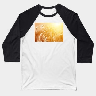 Bunch of mature ears of rye at golden sunset Baseball T-Shirt